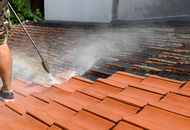 Professional Pressure Washing in San Lorenzo, CA